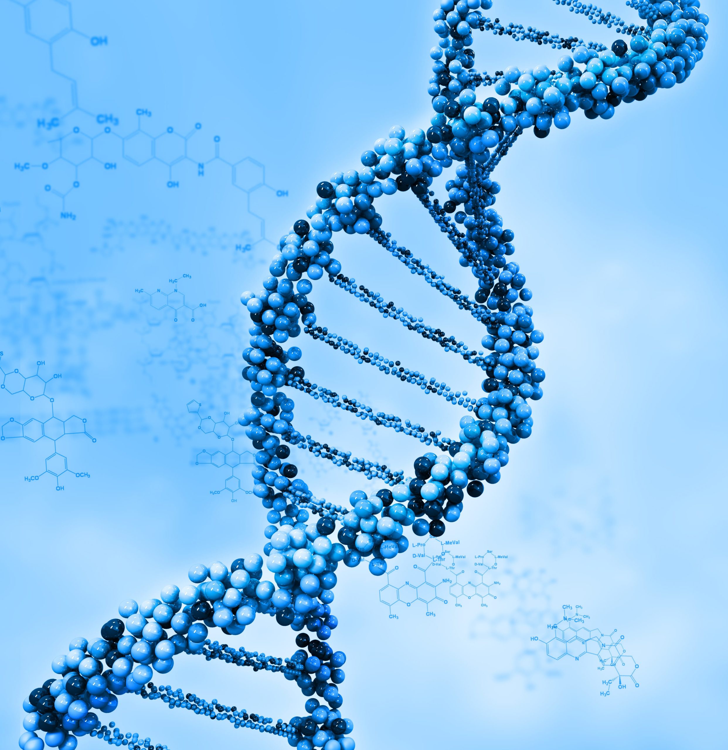ДНК ген геном генотип